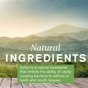 Nature's Sunshine XyliBrite Xylitol Toothpaste, Cool Mint, 3.5 oz. | Fluoride Free Toothpaste with Xylitol and Baking Soda to Whiten Teeth and Promote Oral Health