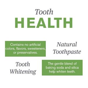 Nature's Sunshine XyliBrite Xylitol Toothpaste, Cool Mint, 3.5 oz. | Fluoride Free Toothpaste with Xylitol and Baking Soda to Whiten Teeth and Promote Oral Health