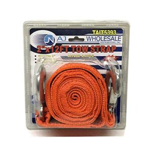 AJ 2" x 12Ft Tow Strap