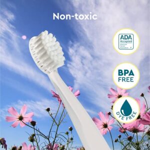 RADIUS Children's Toothbrush Pure Brush Ultra Soft BPA Free ADA Accepted Designed for Delicate Teeth for Kids 6 Months and Up - Clear - Pack of 1