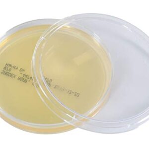 Sabdex (Sabouraud Dextrose) Agar, USP, for Cultivation of Yeast and Fungi, 15x100mm Plate, Order by The Package of 10, by Hardy Diagnostics