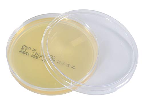 Sabdex (Sabouraud Dextrose) Agar, USP, for Cultivation of Yeast and Fungi, 15x100mm Plate, Order by The Package of 10, by Hardy Diagnostics