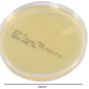 Sabdex (Sabouraud Dextrose) Agar, USP, for Cultivation of Yeast and Fungi, 15x100mm Plate, Order by The Package of 10, by Hardy Diagnostics