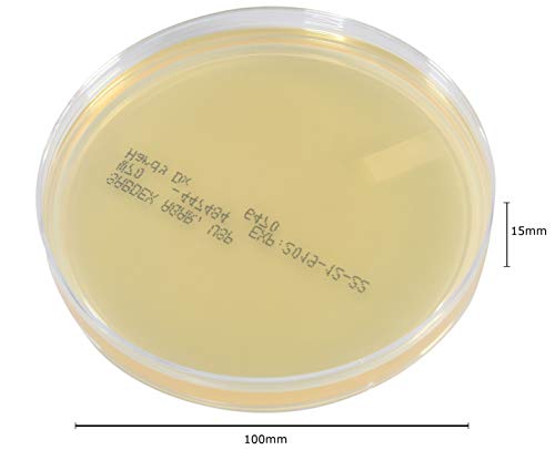 Sabdex (Sabouraud Dextrose) Agar, USP, for Cultivation of Yeast and Fungi, 15x100mm Plate, Order by The Package of 10, by Hardy Diagnostics