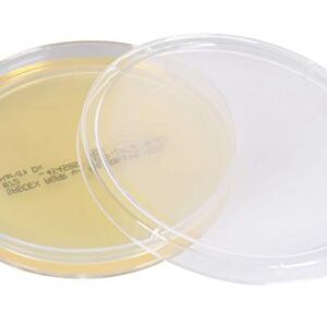 Sabdex (Sabouraud Dextrose) Agar with Chloramphenicol, Deep Fill, 15x100mm Plate, Order by The Package of 10, by Hardy Diagnostics