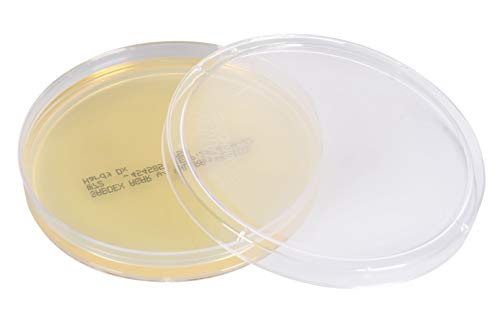 Sabdex (Sabouraud Dextrose) Agar with Chloramphenicol, Deep Fill, 15x100mm Plate, Order by The Package of 10, by Hardy Diagnostics