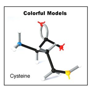 Organic Chemistry Molecular Model Set (140 Pieces)