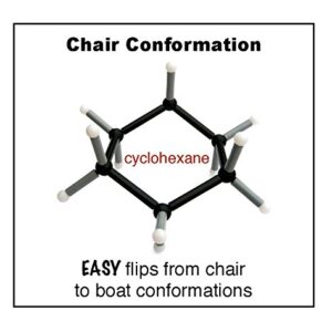 Organic Chemistry Molecular Model Set (140 Pieces)