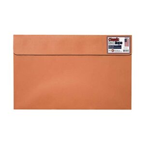 star products classic red wallet reclosable fastener portfolio, 10-inch by 15-inch