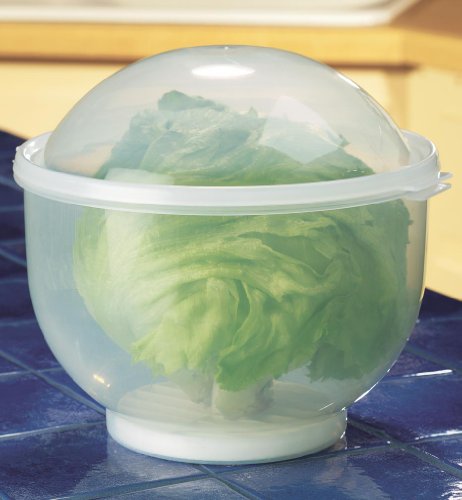 WalterDrake Lettuce KeeperTM - Lettuce Crisper Salad Keeper Container Keeps your Salads and Vegetables Crisp and Fresh- 7" X 8" (brown) (1) (1)