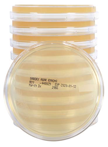 Emmon's Sabdex (Sabouraud Dextrose) Agar, for The Culturing of Fungi and Yeast, Deep Fill, 15x100mm Plate, Order by The Package of 10, by Hardy Diagnostics