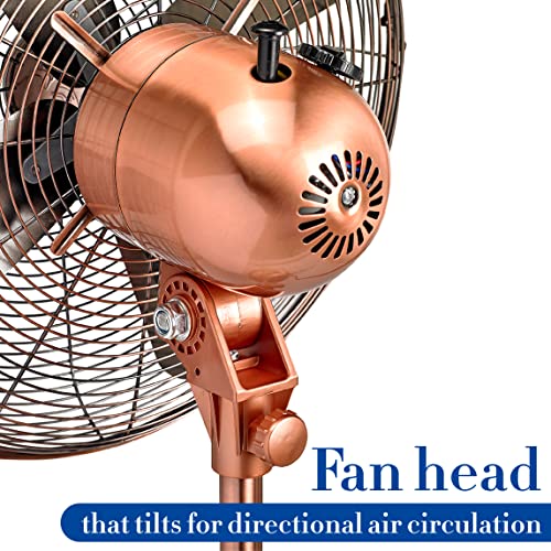 Deco Breeze DBF0209 Pedestal Standing 3 Speed Oscillating Fan with Adjustable Height, 16 Inches, Brushed Copper