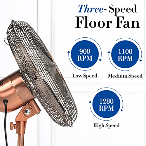 Deco Breeze DBF0209 Pedestal Standing 3 Speed Oscillating Fan with Adjustable Height, 16 Inches, Brushed Copper