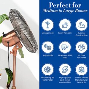 Deco Breeze DBF0209 Pedestal Standing 3 Speed Oscillating Fan with Adjustable Height, 16 Inches, Brushed Copper