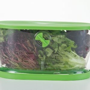 Prep Solutions by Progressive Lettuce Keeper Produce Storage Container, 4.7 Quarts