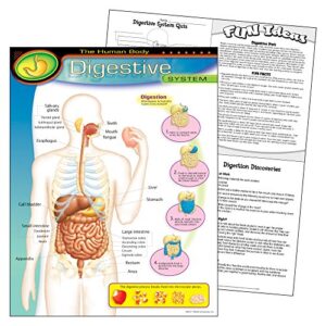 The Human Body–Digestive System Learning Chart