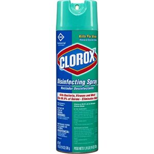 Clorox Disinfecting Spray, Fresh Scent, Industrial Cleaning and Disinfectant Spray, 19-Ounce Bottles, (Pack of 12) - 38504