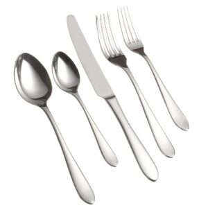 ginkgo international linden 20-piece stainless steel flatware place setting, service for 4