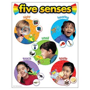 trend enterprises, inc. five senses learning chart, 17″ x 22″