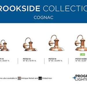 Progress Lighting P5721-14 Brookside Outdoor, 8-Inch Width x 9-3/4-Inch Height, Brown