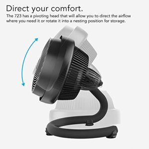 Vornado 723 Full-Size Whole Room Air Circulator Fan