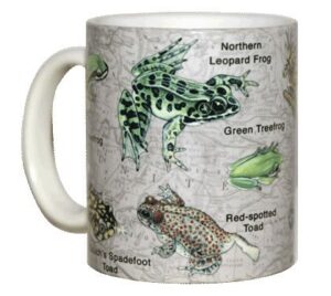 wild cotton frogs of na 11 ounce ceramic coffee mug (wc418m)