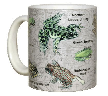 WILD COTTON Frogs of NA 11 Ounce Ceramic Coffee Mug (WC418M)