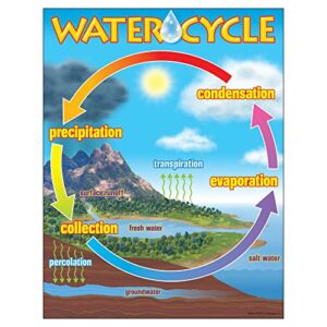 trend enterprises, inc. the water cycle learning chart, 17″ x 22″