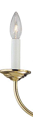 Progress Lighting P4009-10 5-Light Chandelier, Polished Brass