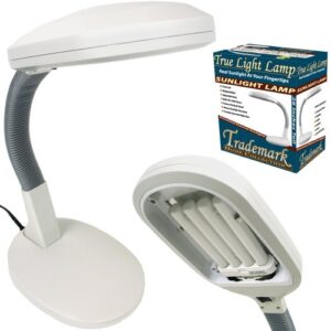 Natural Sunlight Desk Lamp, Great For Reading and Crafting, Adjustable Gooseneck, Home and Office Lamp by Lavish Home, White - 72-0813