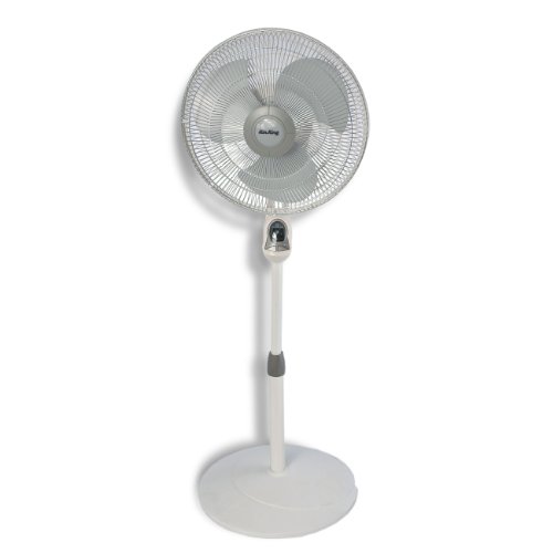 16" Oscillating Residential Pedestal Fan, 3 Speed