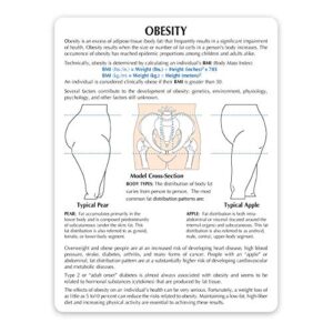 Obesity Model | Human Body Anatomy Replica of Overweight Body Types for Doctors Office Educational Tool | GPI Anatomicals