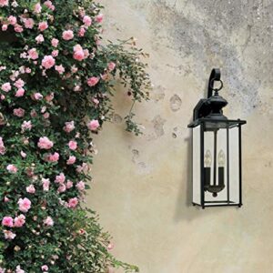 Generation Lighting 8468-12 Jamestowne Transitional Two - Light Outdoor Wall Lantern Outside Fixture, Black Finish