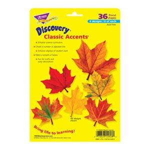 TREND ENTERPRISES, INC. - T-10958 TREND enterprises, Inc. Maple Leaves Classic Accents Variety Pack, 36 ct
