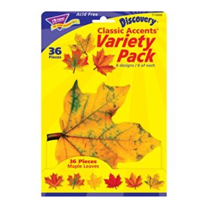 TREND ENTERPRISES, INC. - T-10958 TREND enterprises, Inc. Maple Leaves Classic Accents Variety Pack, 36 ct