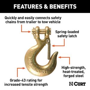 CURT 81550 5/16-Inch Forged Steel Clevis Slip Hook with Safety Latch, 14,000 lbs, 3/4-In Opening, 5/16" Pin