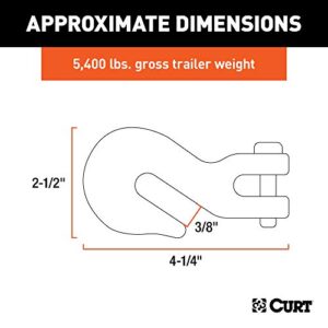 CURT 81350 3/8-Inch Forged Steel Clevis Grab Hook, 5,400 lbs. Work Load, 1/2-In Pin