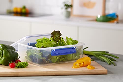 Sistema 1700 Klip It Collection Rectangle Food Storage Container, 2 Liter/67.6 Ounce