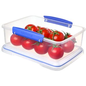 Sistema 1700 Klip It Collection Rectangle Food Storage Container, 2 Liter/67.6 Ounce