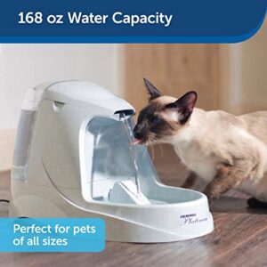 PetSafe Drinkwell Platinum Dog and Cat Water Fountain, Automatic Drinking Fountain for Pets, 168 Ounce