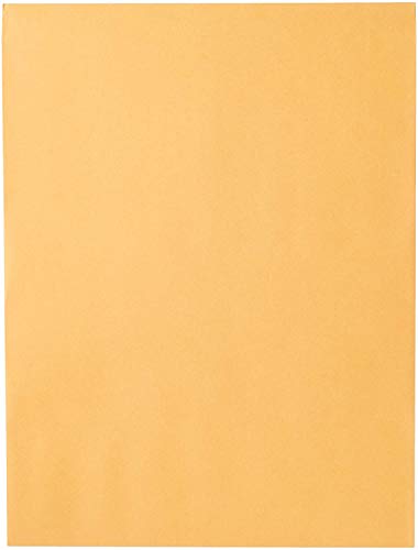 Mead Letter Size Mailing Envelopes, Clasp Closure, All-Purpose 24-lb Paper, 9" X 12", Brown Kraft Material, 20/Pack (76020)