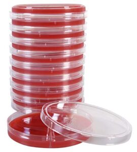 blood agar, 5 percent/blood agar, 5 percent, 15x100mm biplate, order by the package of 10, by hardy diagnostics