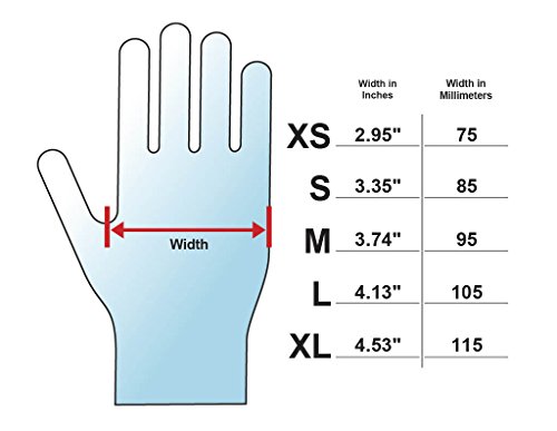 Adenna VPF235 l Vinyl Powder Free Exam Gloves (Translucent, Medium) Box of 100,3.5 mi