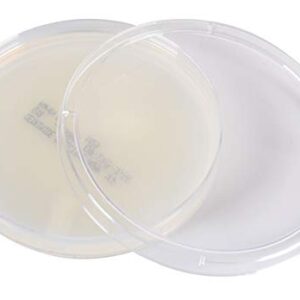 Cetrimide Select Agar, for The Cultivation and Isolation of Pseudomonas, USP, 26ml Deep Fill, 15x100mm Plate, Order by The Package of 10, by Hardy Diagnostics