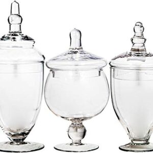 Apothecary Jars with Lids Set of 3 - Home Essentials & Beyond Candy Jars for Candy Buffet, Glass décor, Laundry Room, Potpourri, and Bathroom