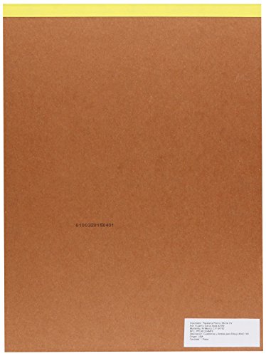 Strathmore 300 Series Bristol Paper Pad, Vellum, Tape Bound, 9x12 inches, 20 Sheets (100lb/270g) - Artist Paper for Adults and Students - Charcoal, Pen and Ink, Marker, and Pastel