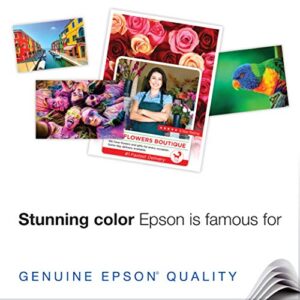 Epson S041727 Premium Photo Paper, 68 lbs., High-Gloss, 4 x 6 (Pack of 100 Sheets),White