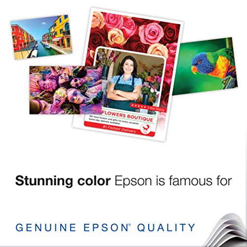 Epson S041727 Premium Photo Paper, 68 lbs., High-Gloss, 4 x 6 (Pack of 100 Sheets),White