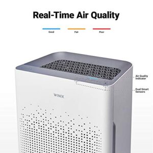 Winix 1022-0214-00 Wi-Fi Air Purifier, 360sq ft Room Capacity, Amazon Alexa and Dash Replenishment Enabled