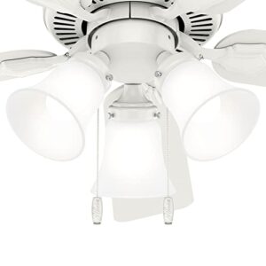 Hunter Swanson Indoor Ceiling Fan with LED Lights and Pull Chain Control, 44", Fresh White